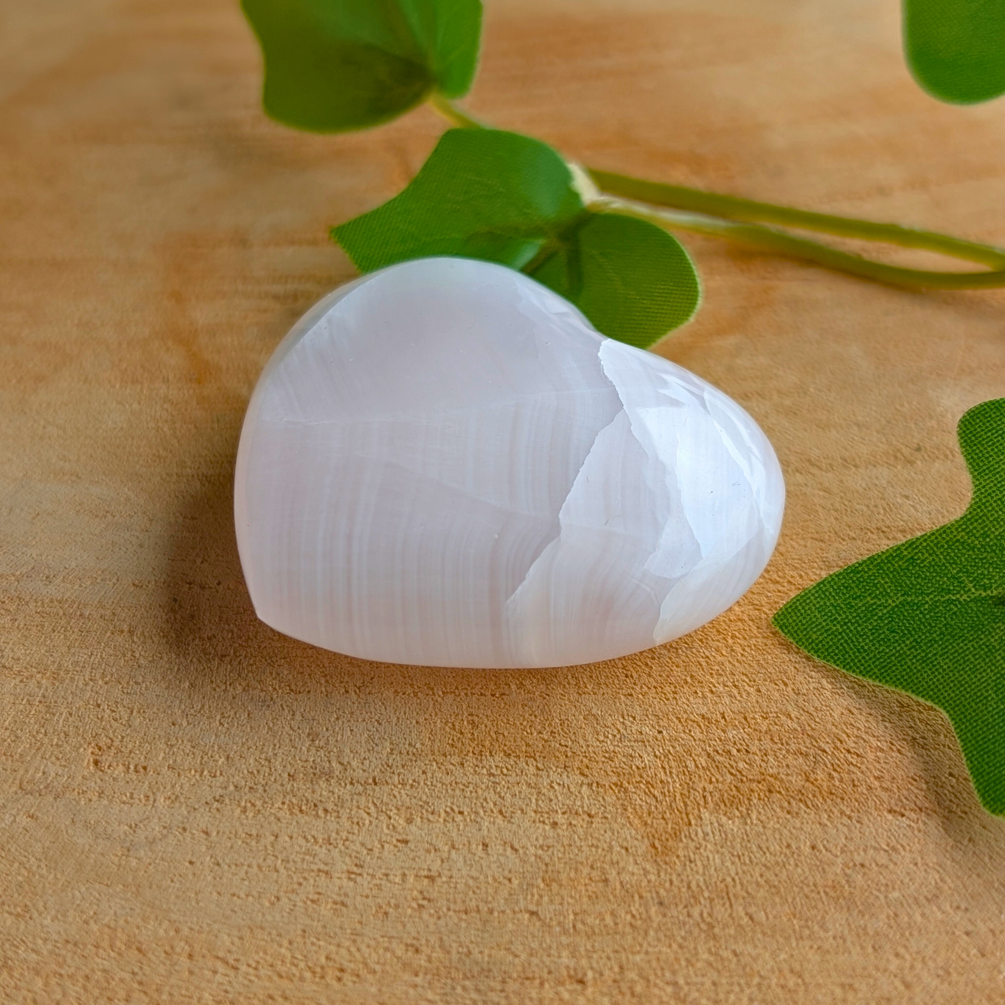 mangano calciet hart