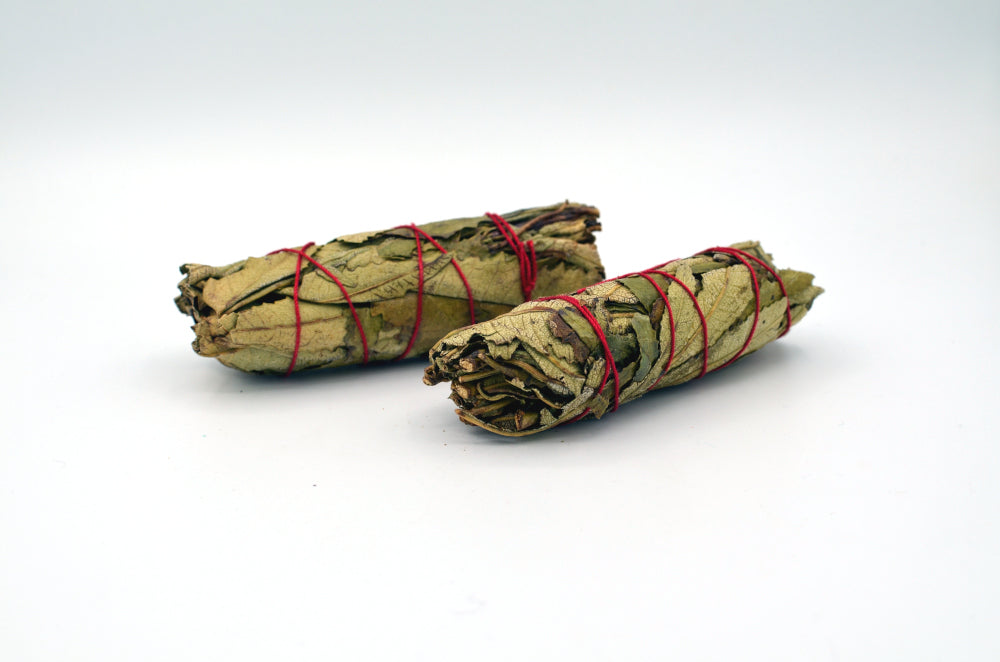 yerba santa