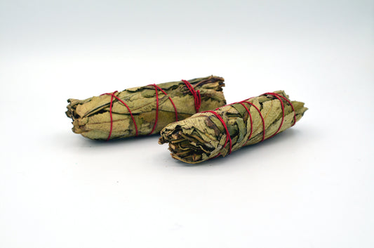 yerba santa 
